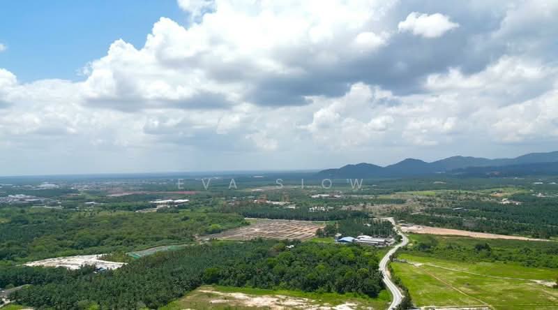 Tanah Pertanian untuk Dijual di Kampung Ulu Pulai (Pekan Nanas) - Eva Siow - Exterior - PropertyGuru.com.my