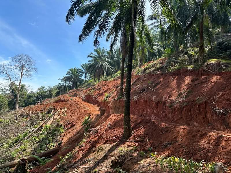 Agricultural Land for Sale in Sega (Pahang) - Shahrol Ariffin - Exterior - PropertyGuru.com.my