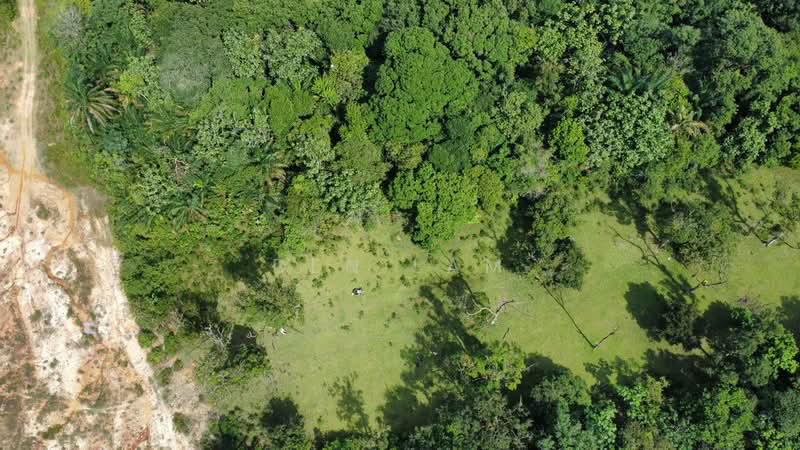 Industrial Land for Sale in Kuang (Selangor) - Den Lam - Exterior - PropertyGuru.com.my