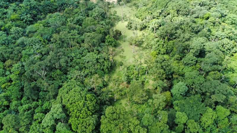 Industrial Land for Sale in Kuang (Selangor) - Den Lam - Exterior - PropertyGuru.com.my