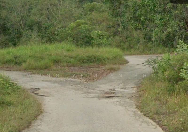 Tanah Pertanian untuk Dijual di Sungai Gumut (Selangor) - Wong Ye Lien PhD - Exterior - PropertyGuru.com.my