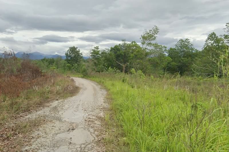 Tanah Pertanian untuk Dijual di Sungai Gumut (Selangor) - Wong Ye Lien PhD - Exterior - PropertyGuru.com.my