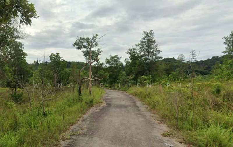 Tanah Pertanian untuk Dijual di Sungai Gumut (Selangor) - Wong Ye Lien PhD - Exterior - PropertyGuru.com.my