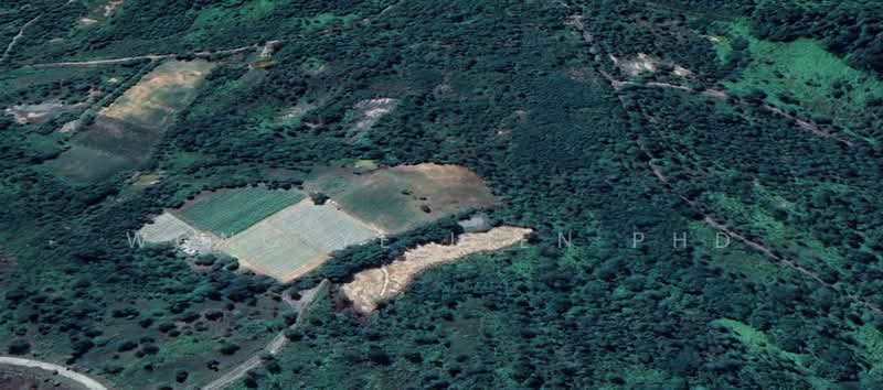 Tanah Pertanian untuk Dijual di Sungai Gumut (Selangor) - Wong Ye Lien PhD - PropertyGuru.com.my