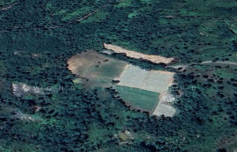 Tanah Pertanian untuk Dijual di Sungai Gumut (Selangor) - Wong Ye Lien PhD - Exterior - PropertyGuru.com.my