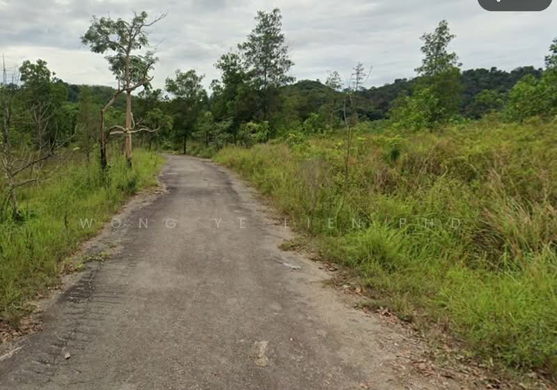 Tanah Pertanian untuk Dijual di Sungai Gumut (Selangor) - Wong Ye Lien PhD - Exterior - PropertyGuru.com.my