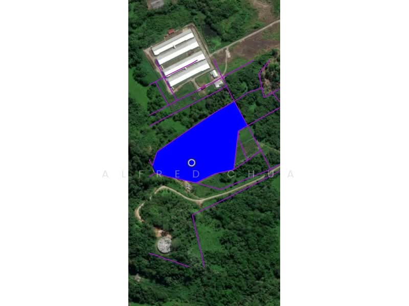 Other Property for Sale in Serian (Sarawak) - Alfred Chua - Land - PropertyGuru.com.my