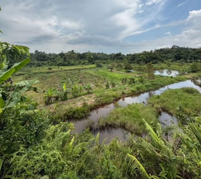 Other Property for Sale in Serian (Sarawak) - Alfred Chua - Garden - PropertyGuru.com.my