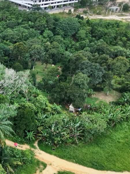 Tanah Pertanian untuk Dijual di Dengkil (Selangor) - Daizy Tan - PropertyGuru.com.my