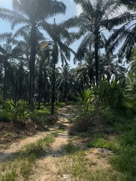 Tanah Pertanian untuk Dijual di Dengkil (Selangor) - Daizy Tan - PropertyGuru.com.my