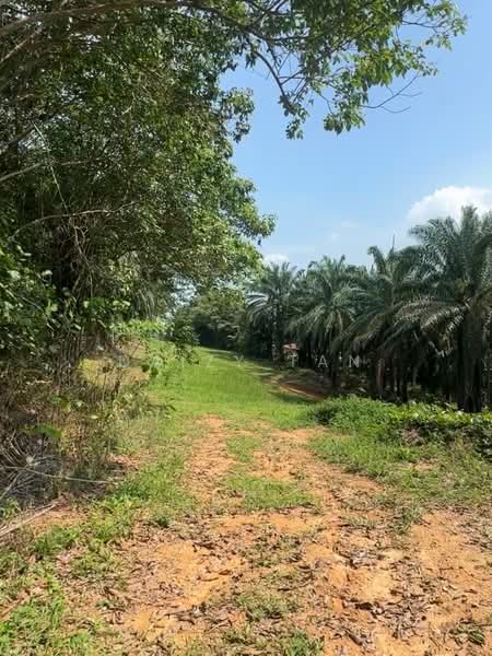 Tanah Pertanian untuk Dijual di Dengkil (Selangor) - Daizy Tan - PropertyGuru.com.my