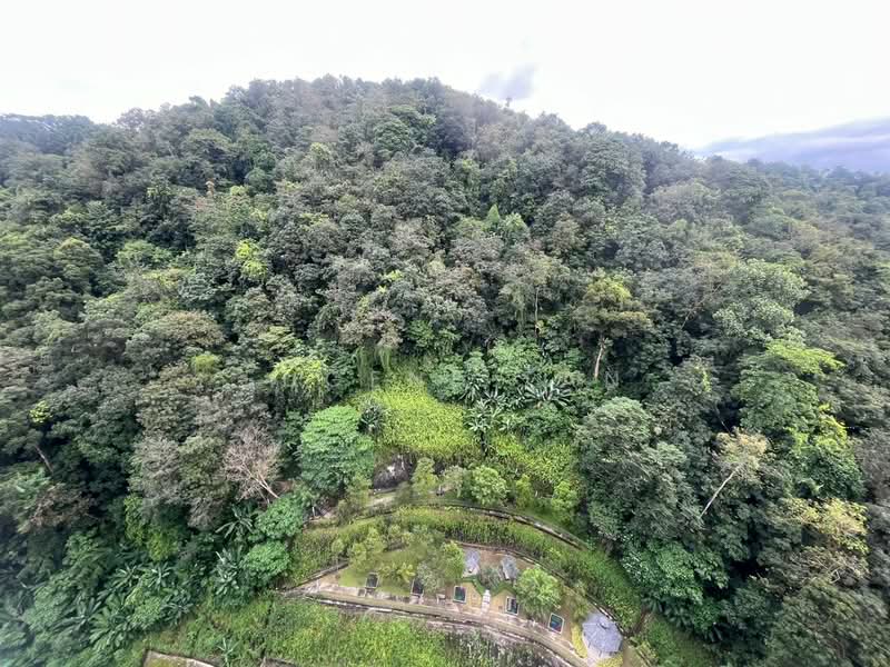 Kondominium untuk Disewa di The Trees - Eugene Tan - Exterior - PropertyGuru.com.my