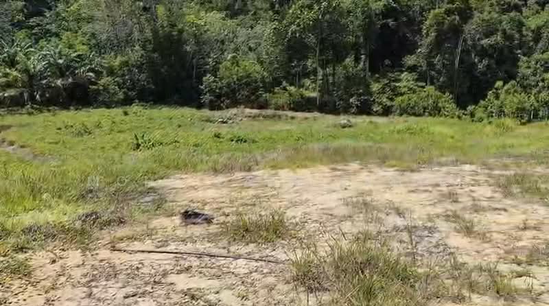 Tanah Pertanian untuk Dijual di Taman Slim (Tanjung Malim) - Mohd Daim Jamil - Exterior - PropertyGuru.com.my