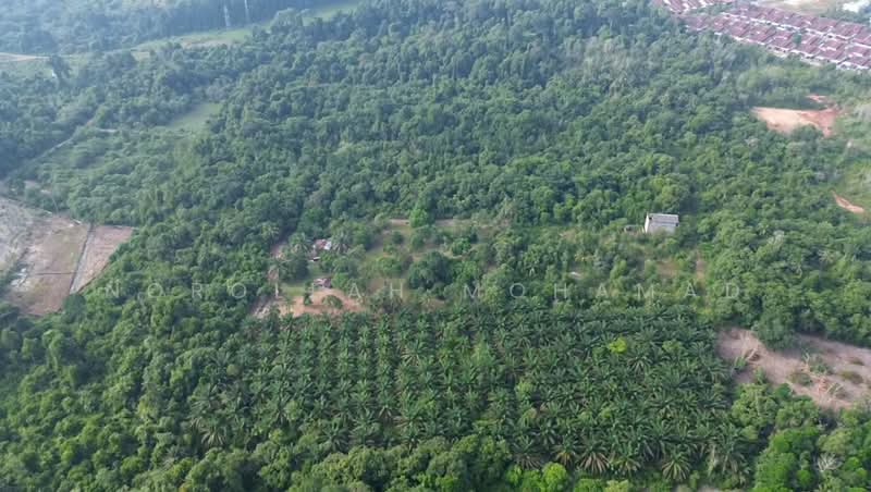 Agricultural Land for Sale in Kuantan (Pahang) - NOROLLAH MOHAMAD - Exterior - PropertyGuru.com.my