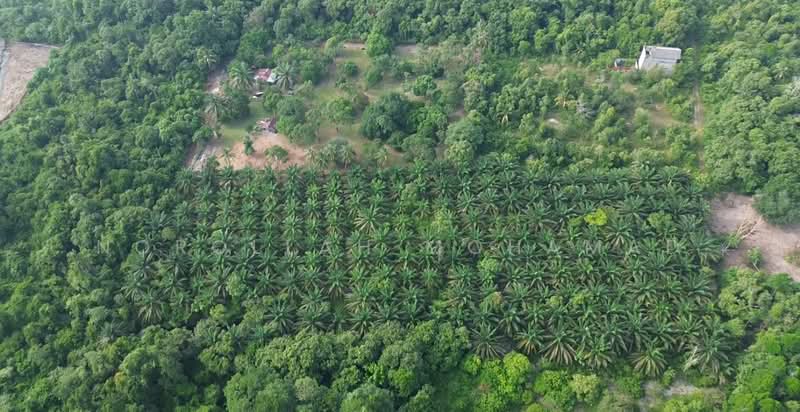 Agricultural Land for Sale in Kuantan (Pahang) - NOROLLAH MOHAMAD - Exterior - PropertyGuru.com.my