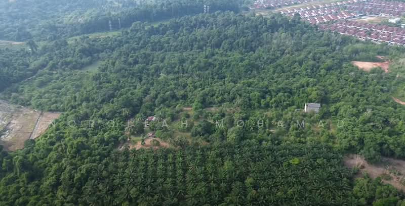 Agricultural Land for Sale in Kuantan (Pahang) - NOROLLAH MOHAMAD - Exterior - PropertyGuru.com.my