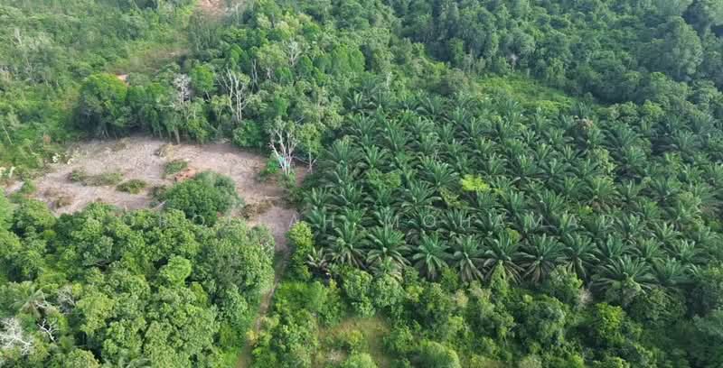Agricultural Land for Sale in Kuantan (Pahang) - NOROLLAH MOHAMAD - Exterior - PropertyGuru.com.my