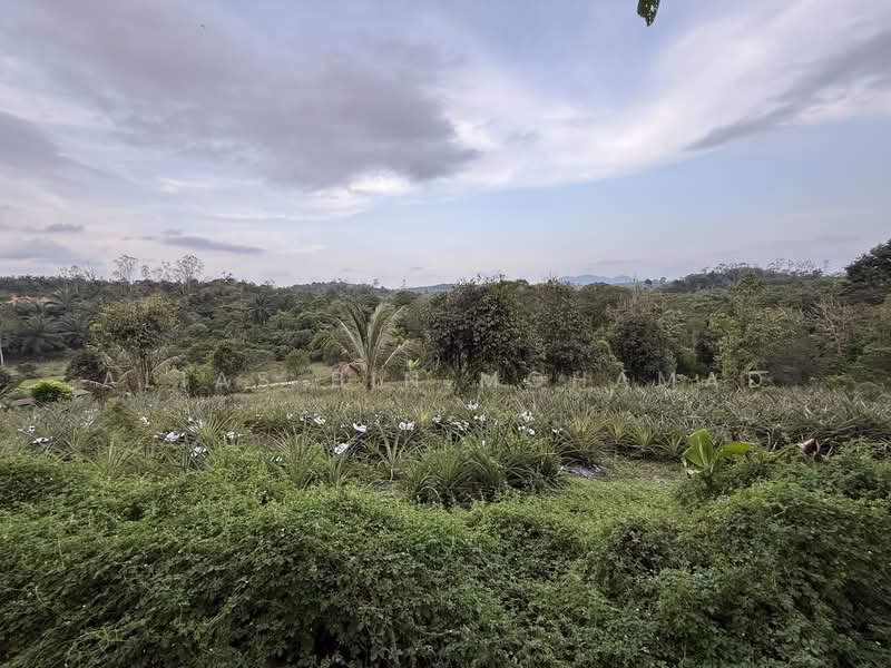 Tanah Pertanian untuk Dijual di Kampung Kuala Telemong (Kuala Telemung) - Alias Bin Mohamad - PropertyGuru.com.my
