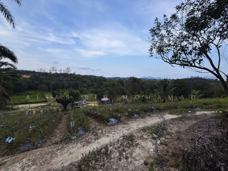 Tanah Pertanian untuk Dijual di Kampung Kuala Telemong (Kuala Telemung) - Alias Bin Mohamad - PropertyGuru.com.my