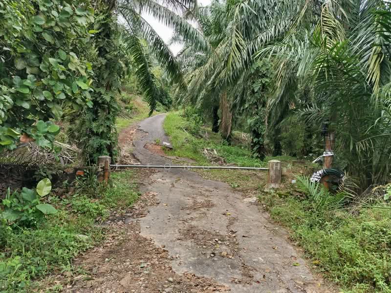 Tanah Pertanian untuk Dijual di Kluang (Johor) - Ee Fong Toh - Exterior - PropertyGuru.com.my