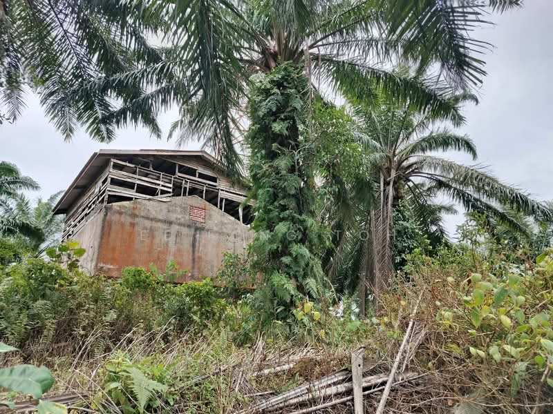 Tanah Pertanian untuk Dijual di Kluang (Johor) - Ee Fong Toh - Exterior - PropertyGuru.com.my