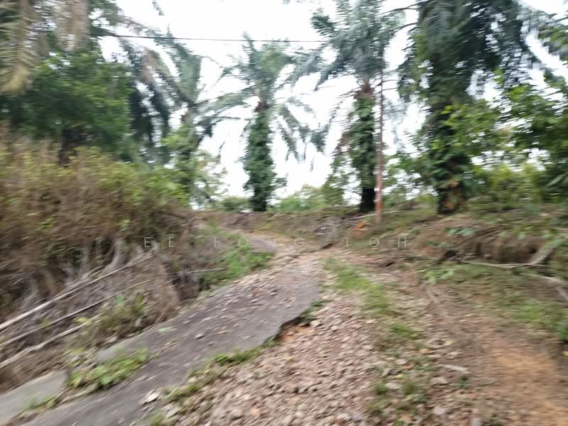 Tanah Pertanian untuk Dijual di Kluang (Johor) - Ee Fong Toh - Exterior - PropertyGuru.com.my