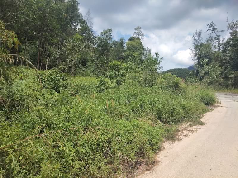 Tanah Kediaman untuk Dijual di Kampung Pasir (Ulu Yam) - Mohd Daim Jamil - Exterior - PropertyGuru.com.my