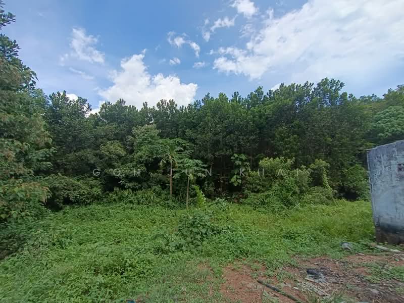 Agricultural Land for Rent in Paya Rumput (Melaka) - Goh Jun Khai - Garden - PropertyGuru.com.my