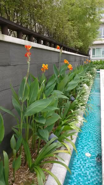 Condominium for Sale at Kiaraville - Wei Young - PropertyGuru.com.my