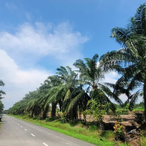 Industrial Land for Sale in Jeram (Selangor) - Bryan Wong - PropertyGuru.com.my