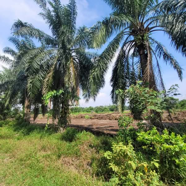 Industrial Land for Sale in Jeram (Selangor) - Bryan Wong - Exterior - PropertyGuru.com.my