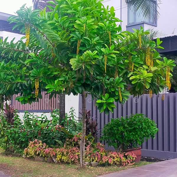 Bungalow for Sale in Usj 3d (Subang Jaya) - Josh Chong - Exterior - PropertyGuru.com.my