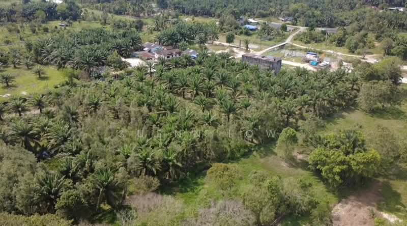 Tanah Pertanian untuk Dijual di Ulu Tiram (Johor) - Suenn Low - PropertyGuru.com.my