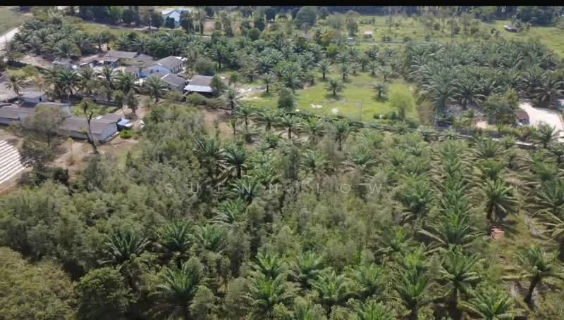 Tanah Pertanian untuk Dijual di Ulu Tiram (Johor) - Suenn Low - Exterior - PropertyGuru.com.my