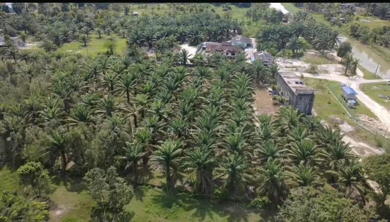 Tanah Pertanian untuk Dijual di Ulu Tiram (Johor) - Suenn Low - Exterior - PropertyGuru.com.my
