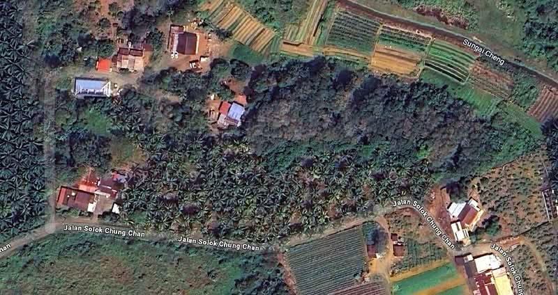 Tanah Pertanian untuk Dijual di Paya Rumput (Melaka) - Elsie Yoong - Exterior - PropertyGuru.com.my