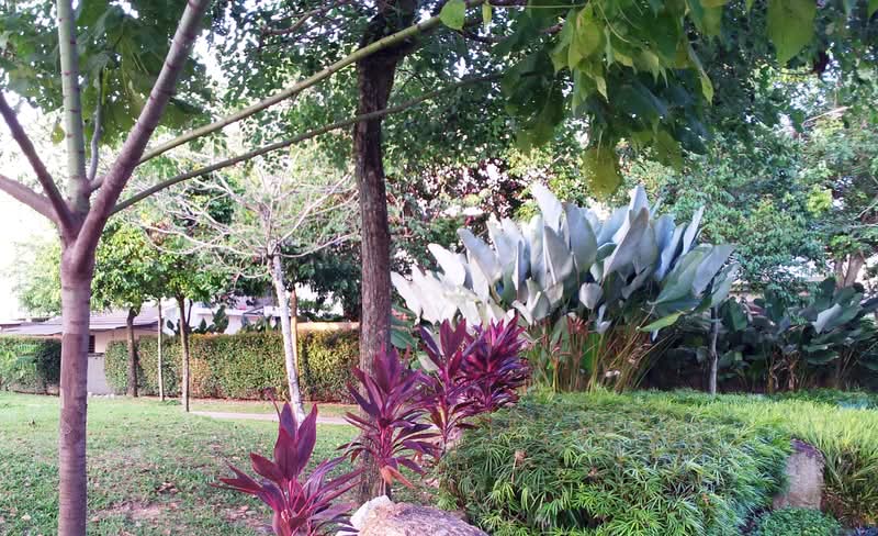 2-storey Terraced House for Rent in Desa Parkcity (Kuala Lumpur) - SY YAP - PropertyGuru.com.my