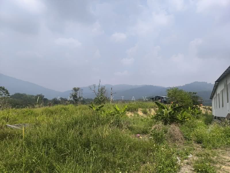 Agricultural Land for Rent in Semenyih (Selangor) - Amy Oktavia - Exterior - PropertyGuru.com.my