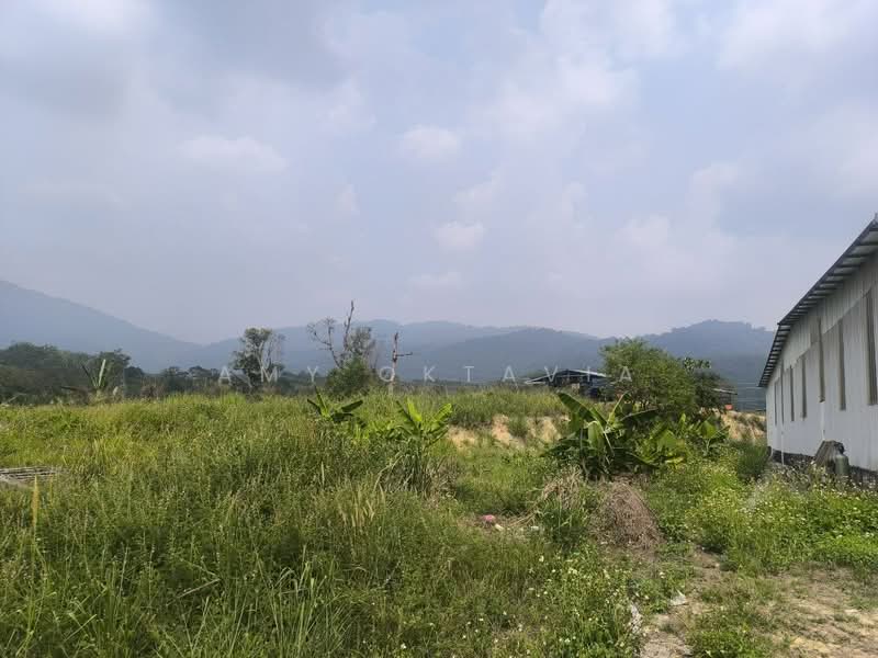 Agricultural Land for Rent in Semenyih (Selangor) - Amy Oktavia - Exterior - PropertyGuru.com.my