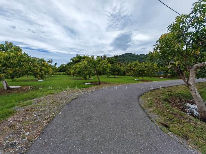 Bungalow for Sale in Kurong Batang (Perlis) - Danial Mohd Zaki - PropertyGuru.com.my