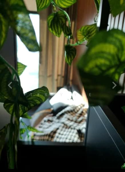 Service Residence for Rent at Reizz Residence - Terry Yee - PropertyGuru.com.my