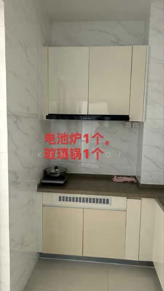 Apartment for Rent at Regalia Park @ Forest City - Kent Loi - Kitchen - PropertyGuru.com.my