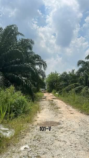 Agricultural Land for Sale in Telok Panglima Garang (Selangor) - Ivy Por - Exterior - PropertyGuru.com.my