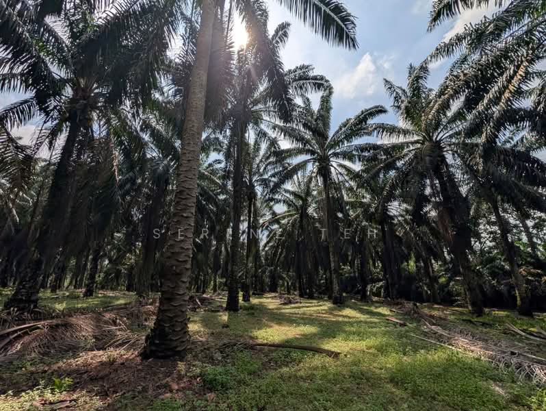 Industrial Land for Sale in Taman Air Bemban (Sedenak) - Serene Teh - Exterior - PropertyGuru.com.my
