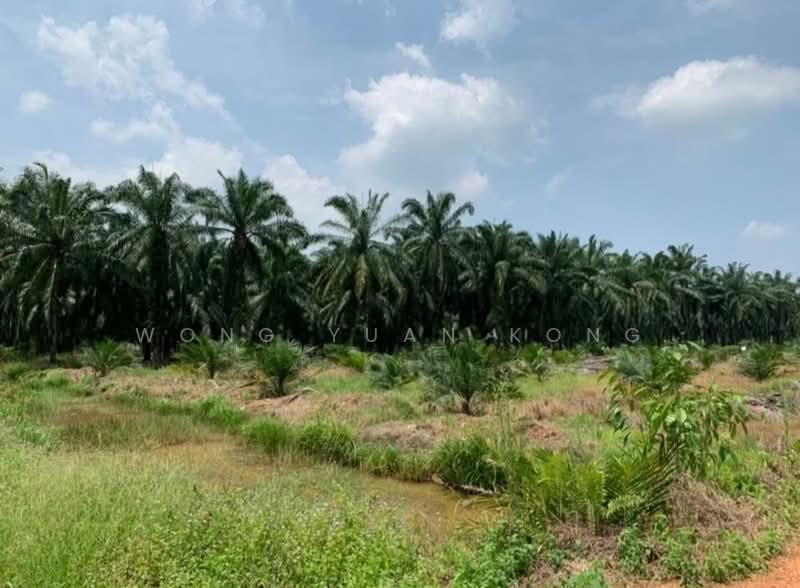 Industrial Land for Sale in Kampung Air Panas (Kerling) - Wong Yuan Kong - PropertyGuru.com.my