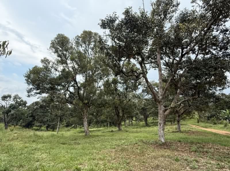 Industrial Land for Sale in Kampung Air Panas (Kerling) - Wong Yuan Kong - PropertyGuru.com.my