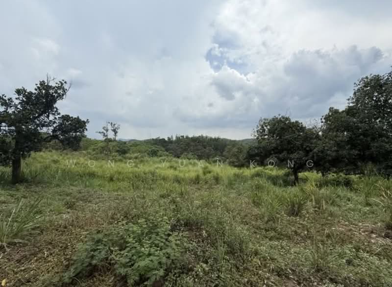 Industrial Land for Sale in Kampung Air Panas (Kerling) - Wong Yuan Kong - PropertyGuru.com.my