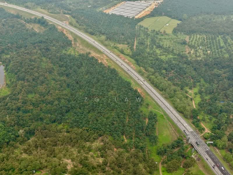 Agricultural Land for Sale in Batu Pahat (Johor) - ZG Law - PropertyGuru.com.my