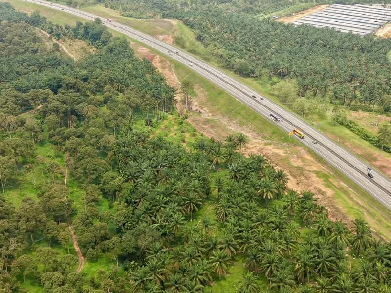 Agricultural Land for Sale in Batu Pahat (Johor) - ZG Law - PropertyGuru.com.my