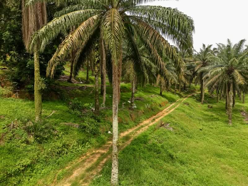 Agricultural Land for Sale in Batu Pahat (Johor) - ZG Law - PropertyGuru.com.my